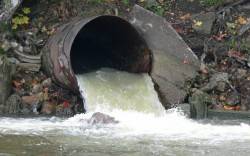 JPG Image, 104KB, 800px × 500px