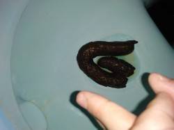 JPG Image, 3815KB, 4608px × 3456px