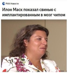 JPG Image, 58KB, 595px × 637px