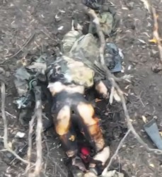 JPG Image, 137KB, 812px × 884px