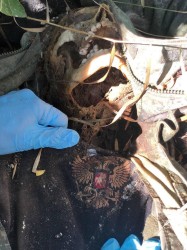 JPG Image, 302KB, 960px × 1280px