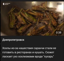 JPG Image, 111KB, 912px × 862px