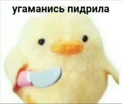 JPG Image, 29KB, 512px × 437px