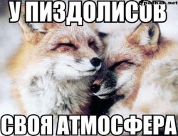 JPG Image, 94KB, 640px × 492px