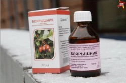 JPG Image, 53KB, 640px × 427px
