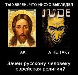 JPG Image, 182KB, 1065px × 1024px