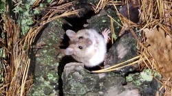 JPG Image, 527KB, 2000px × 1126px