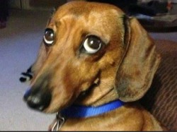 JPG Image, 108KB, 900px × 675px