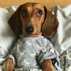 JPG Image, 730KB, 2000px × 2000px