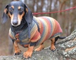 JPG Image, 36KB, 340px × 270px