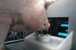 JPG Image, 48KB, 510px × 340px