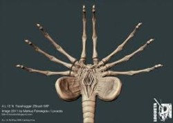 JPG Image, 11KB, 265px × 190px