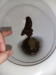 JPG Image, 264KB, 1500px × 2000px