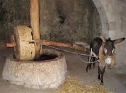 JPG Image, 17KB, 260px × 194px