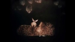 JPG Image, 50KB, 1280px × 720px