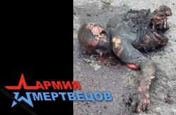 JPG Image, 253KB, 1331px × 872px