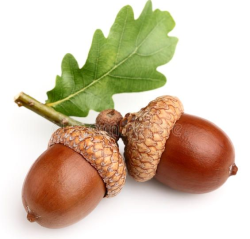 PNG Image, 298KB, 565px × 541px